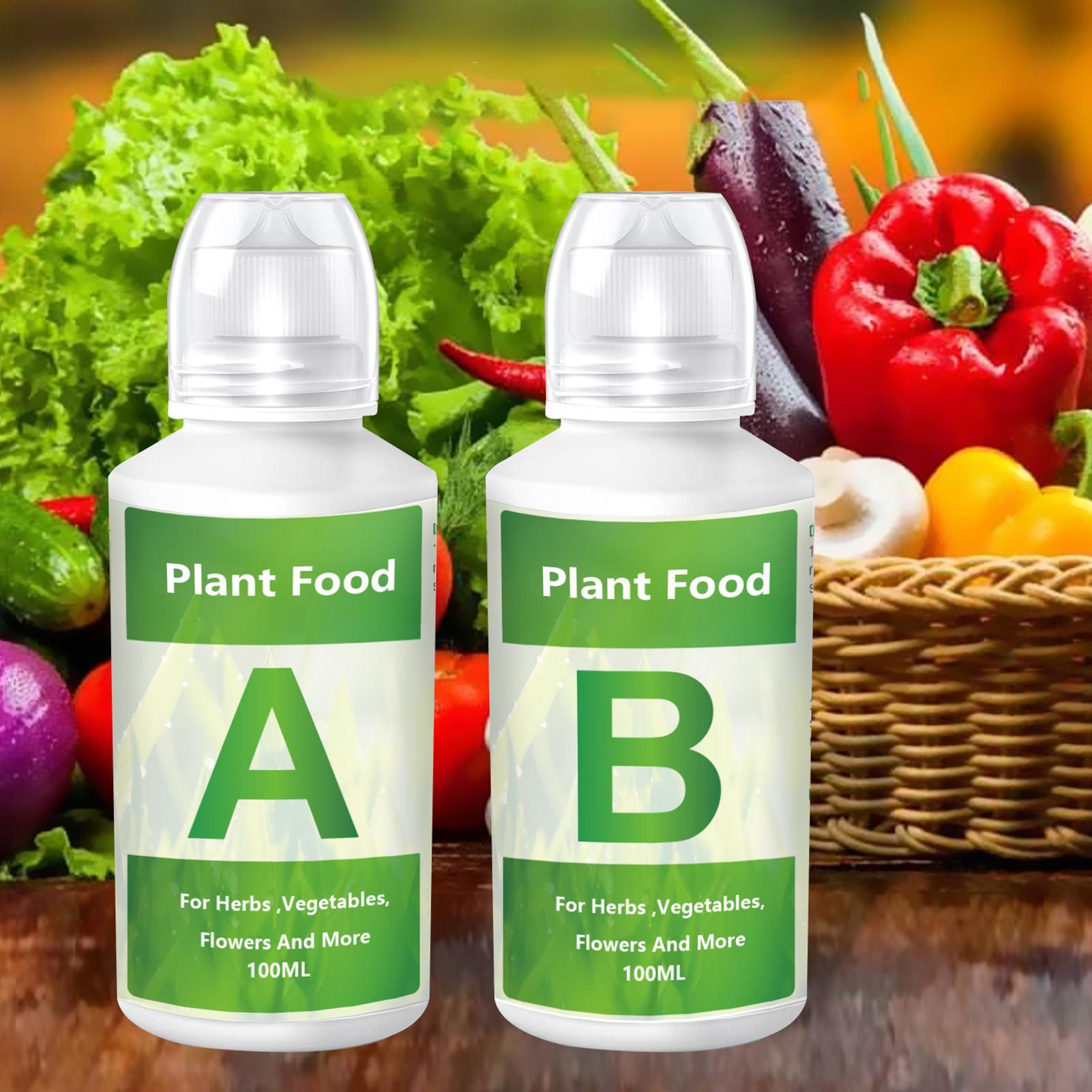 Nutrient Solution Ab - Set Larutan Pupuk Nutrisi Hidroponik AB