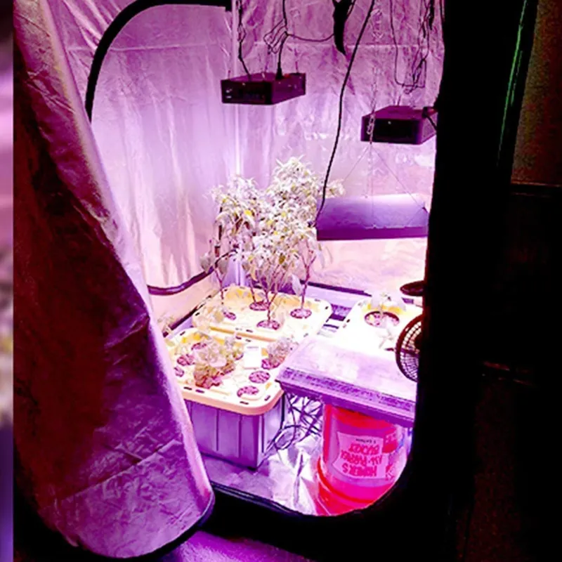Grow Tent 4X4 - Tenda Tanam Indoor Tren Terbaru 4x4