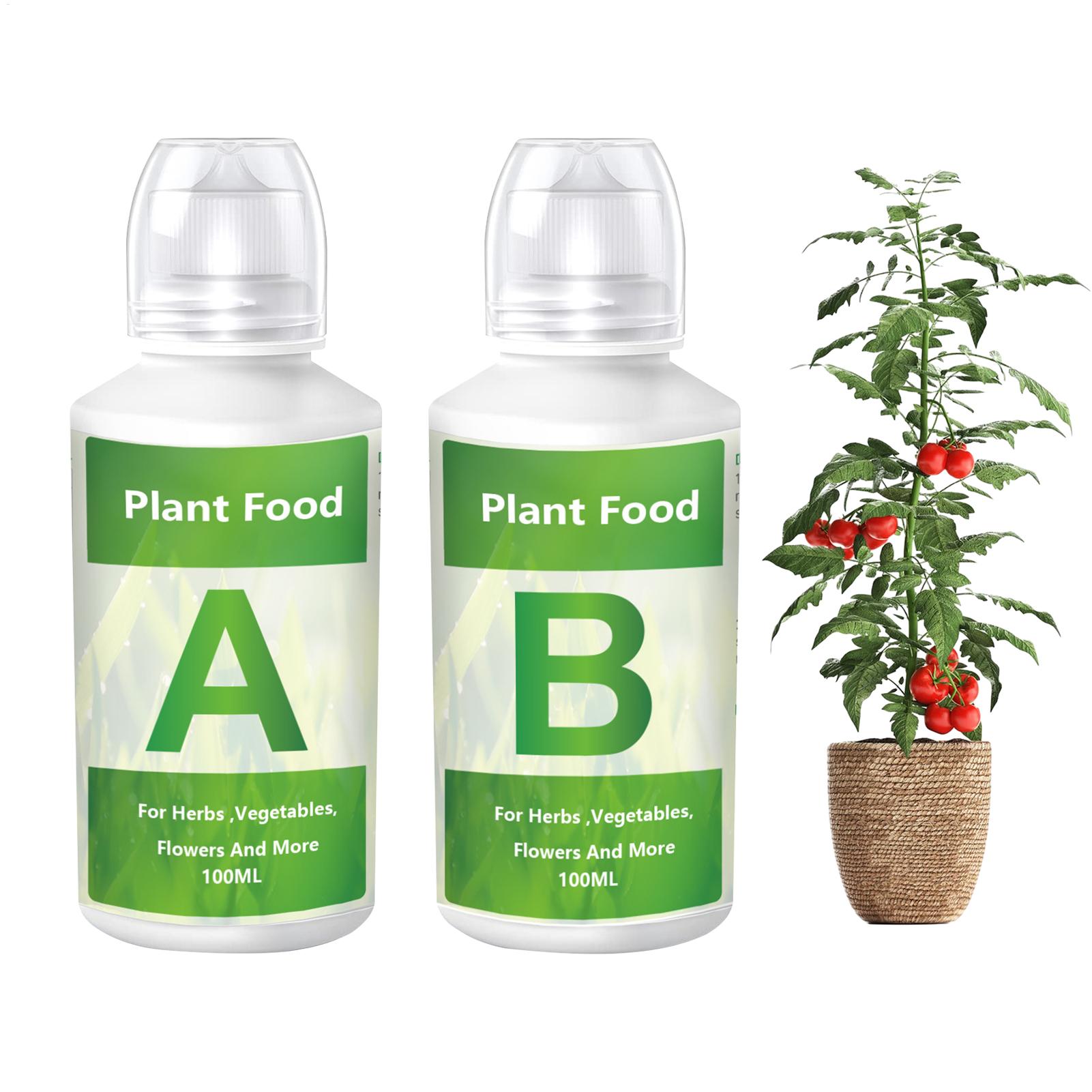 Nutrient Solution Ab - Set Larutan Pupuk Nutrisi Hidroponik AB,