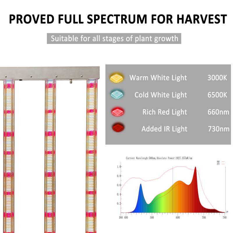 SAHAM di JERMAN, Siap Dikirim  - Grow Tent 4X4 ulasan dan harga