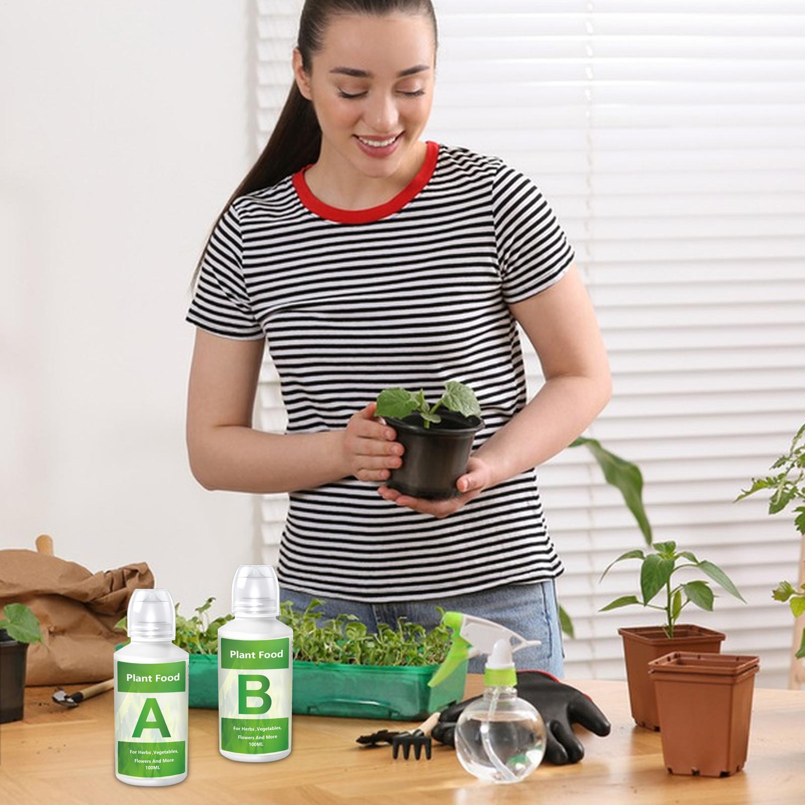 Set Larutan Pupuk Nutrisi Hidr - Nutrient Solution Ab ulasan dan harga