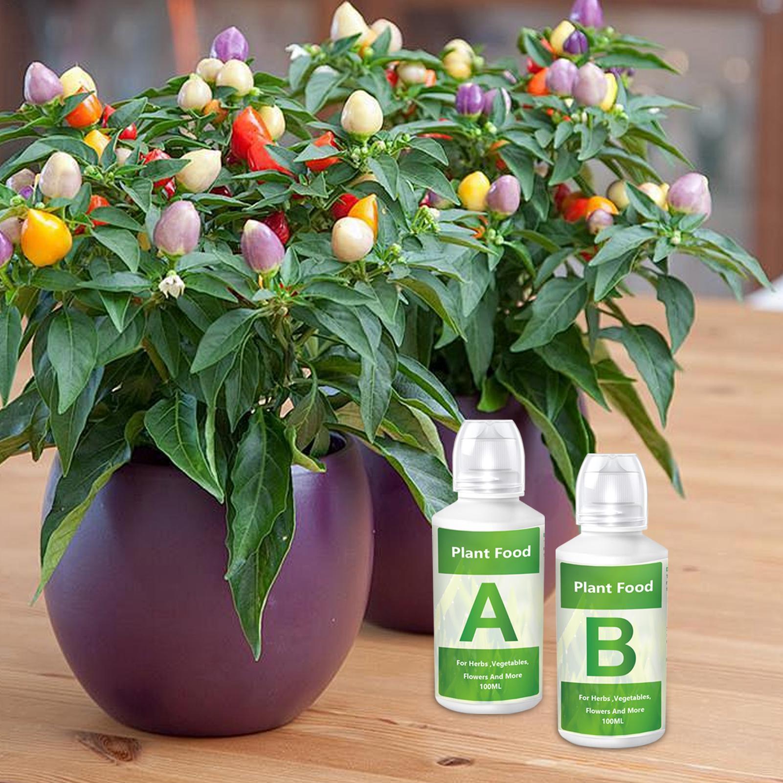 Set Larutan Pupuk Nutrisi Hidr - Nutrient Solution Ab ulasan dan harga