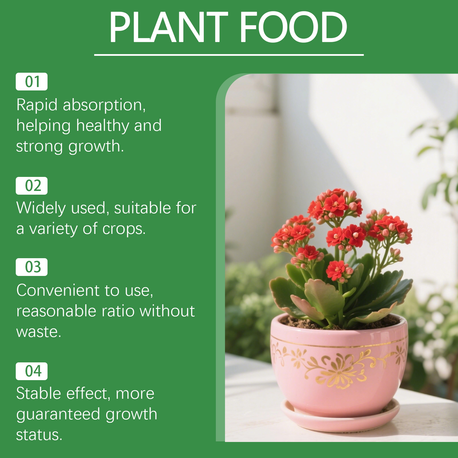 MoonSpry Larutan Nutrisi Hidro - Nutrient Solution Ab ulasan dan harga