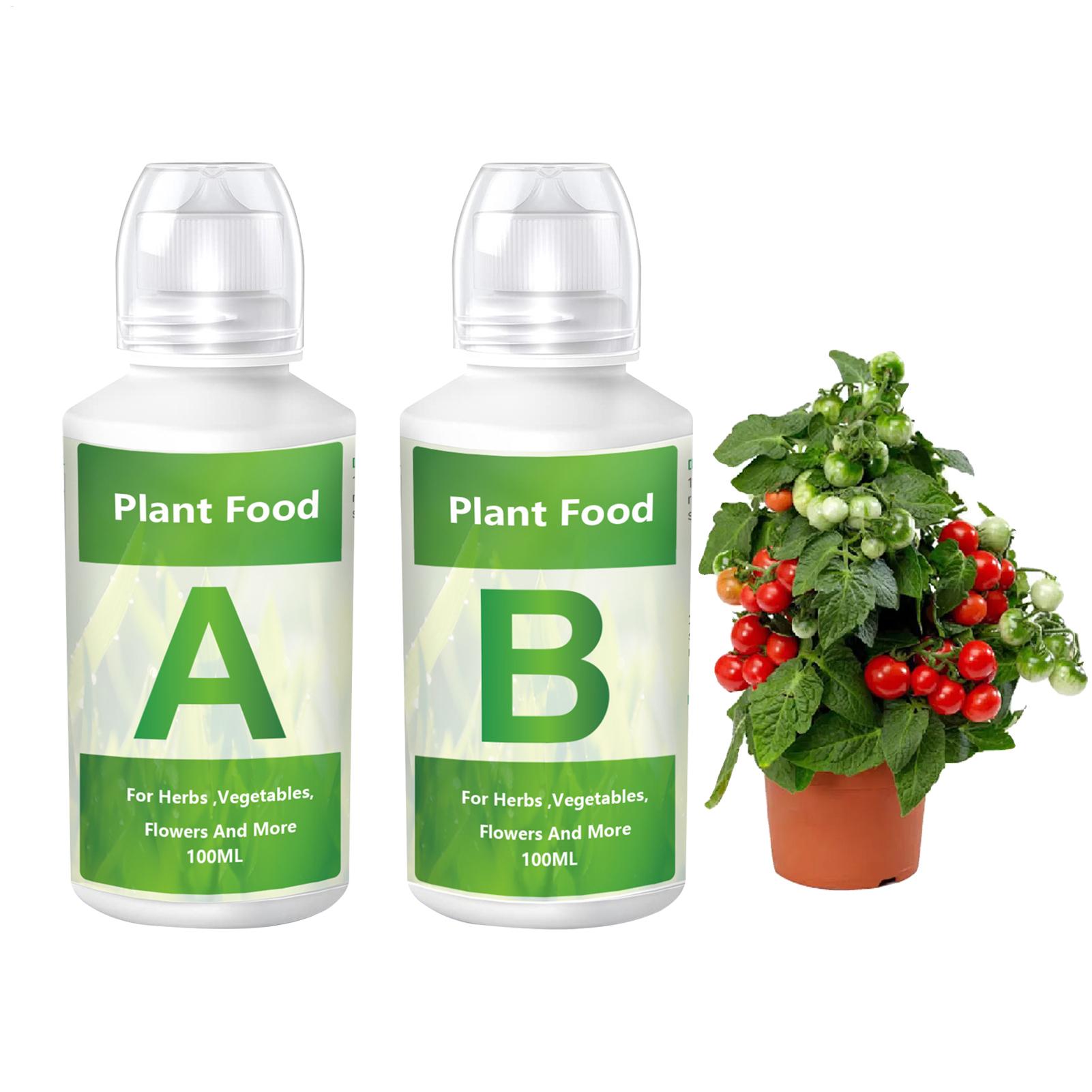 Set Larutan Pupuk Nutrisi Hidr - Nutrient Solution Ab ulasan dan harga